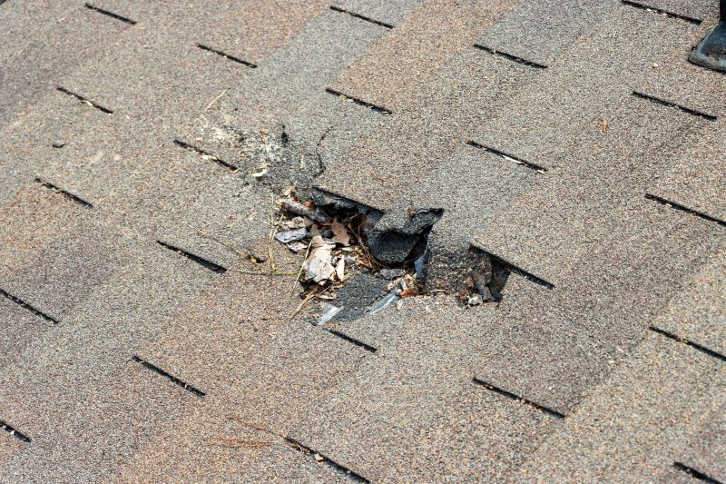 Roof Shingles Replacement in Warwick, RI